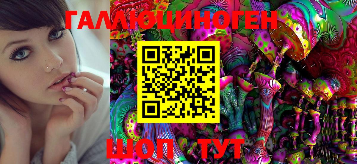 Псилоцибиновые грибы MAGIC MUSHROOMS  Вход с VPN  купить   Рязань 
