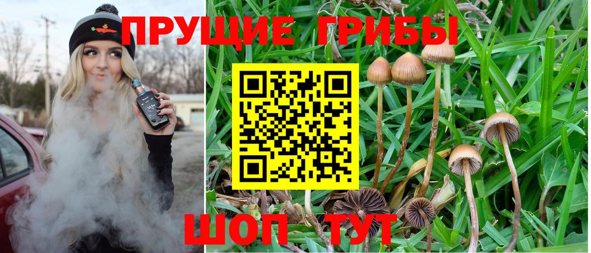Псилоцибиновые грибы мицелий Рязань